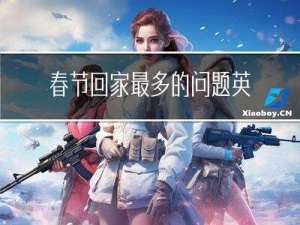 春节回家最多的问题英文