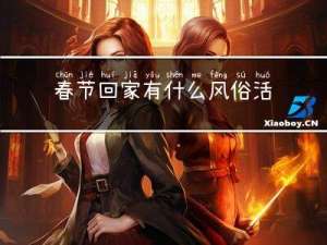春节回家有什么风俗活动