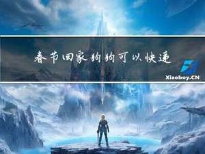 春节回家狗狗可以快递吗