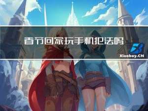 春节回家玩手机犯法吗吗
