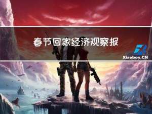 春节回家经济观察报