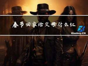 春节回家给父母什么红包