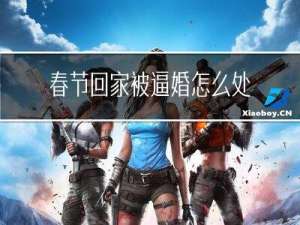 春节回家被逼婚怎么处理