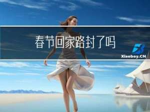 春节回家路封了吗