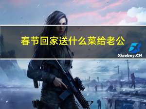 春节回家送什么菜给老公