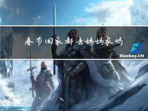 春节回家都去妈妈家吗英语