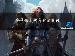 春节回家都有什么变化英语