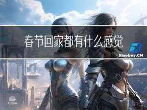 春节回家都有什么感觉作文