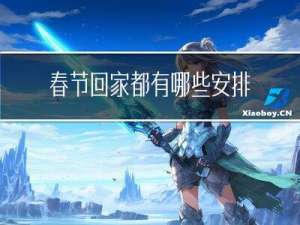 春节回家都有哪些安排英文
