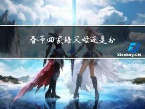 春节回家陪父母还是外出