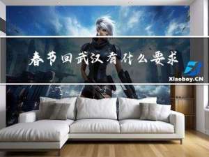 春节回武汉有什么要求