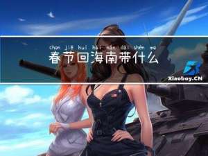 春节回海南带什么