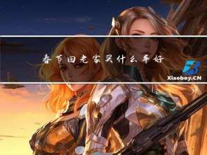 春节回老家买什么车好