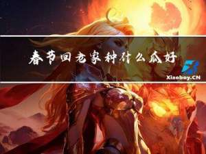 春节回老家种什么瓜好