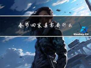 春节回襄县需要什么