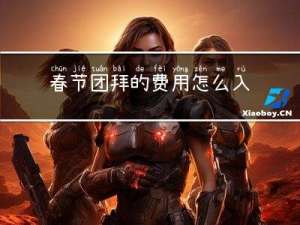 春节团拜的费用怎么入账