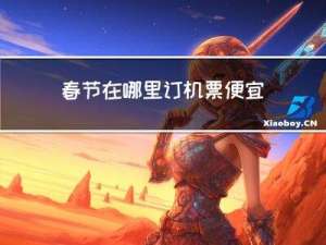 春节在哪里订机票便宜点
