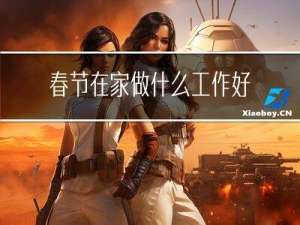 春节在家做什么工作好