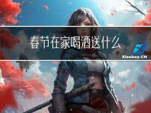 春节在家喝酒送什么