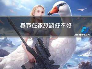 春节在家旅游好不好