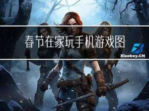 春节在家玩手机游戏图片
