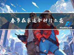 春节在家适合种什么花生