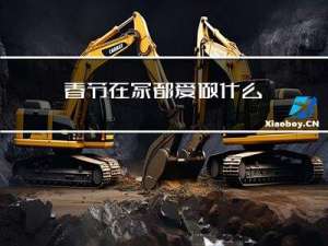 春节在家都爱做什么