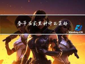 春节在家里种什么菜好