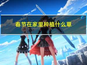 春节在家里种植什么草