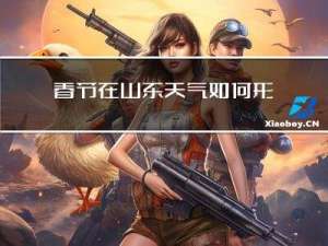 春节在山东天气如何形容