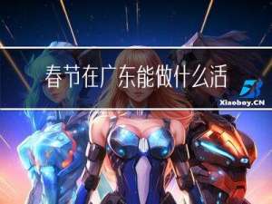 春节在广东能做什么活动