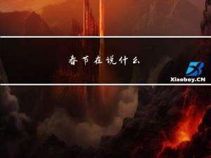 春节在说什么