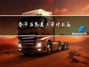 春节在高速上带什么花