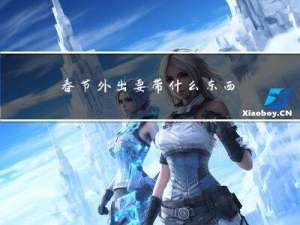 春节外出要带什么东西