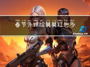 春节外甥给舅舅红包多少