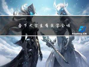 春节大学生有奖学金吗