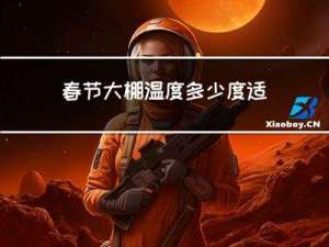 春节大棚温度多少度适合