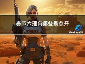 春节大理有哪些景点开放