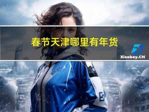 春节天津哪里有年货