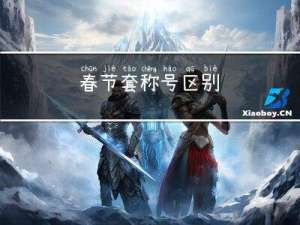 春节套称号区别