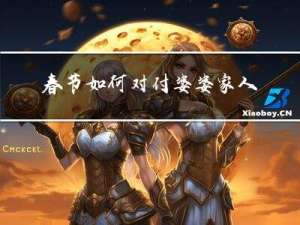春节如何对付婆婆家人