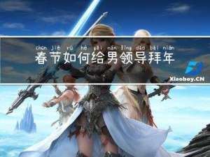 春节如何给男领导拜年送礼