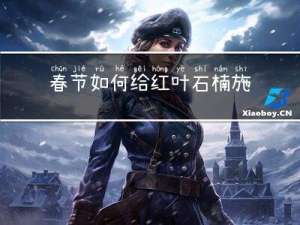 春节如何给红叶石楠施肥