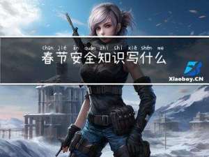春节安全知识写什么