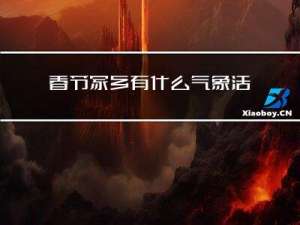 春节家乡有什么气象活动
