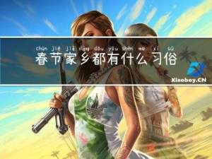 春节家乡都有什么习俗