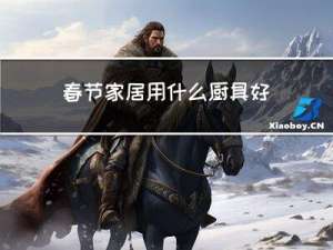 春节家居用什么厨具好看