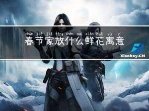 春节家放什么鲜花寓意