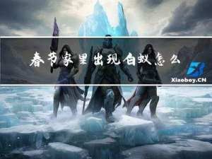 春节家里出现白蚁怎么回事