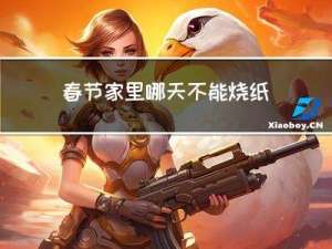 春节家里哪天不能烧纸